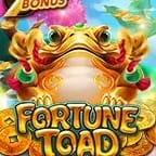 Fortune Toad screenshot